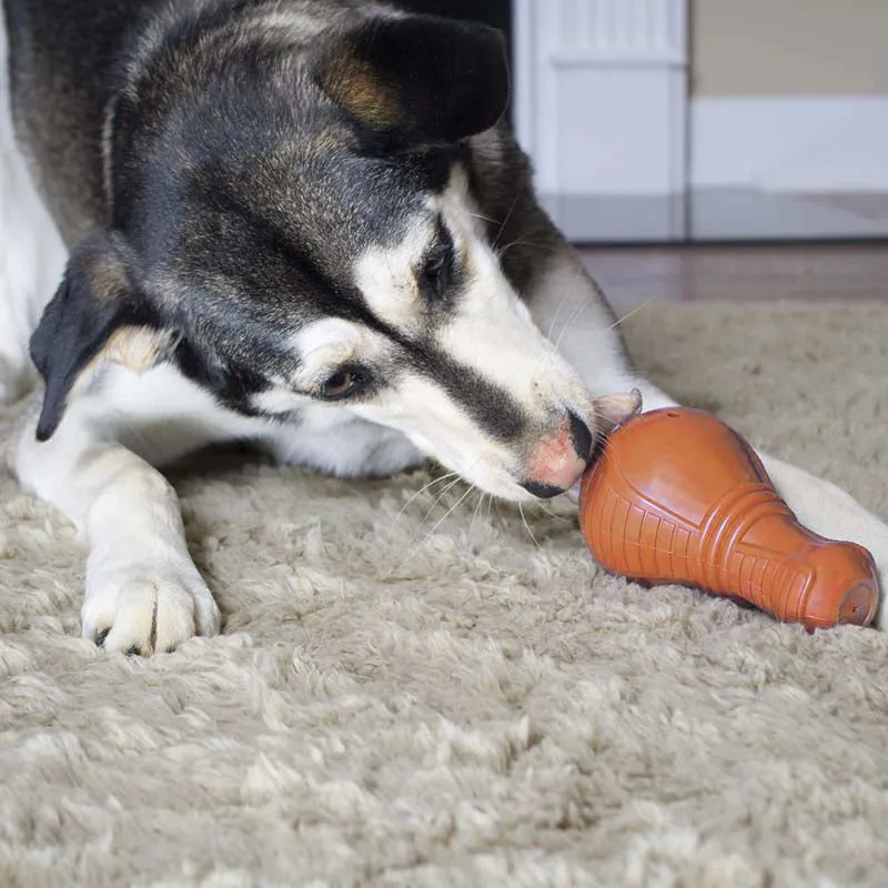 Booya Squeak & Treat Dog Toy, Busy Buddy from PetSafe