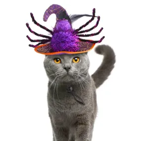 Halloween Kitty Witch Hat