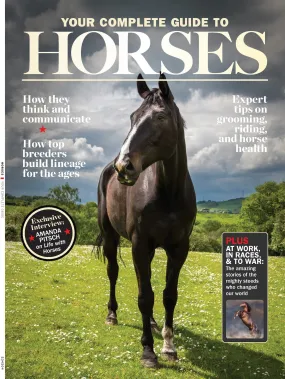 Horses - The Complete Guide: Expert Riding & Training Tips, Stable Care, Breeding Mastery, Racing, Betting, Breeds From Clydesdales To Arabians, Icons Like Secretariat & History's Noblest Steeds!