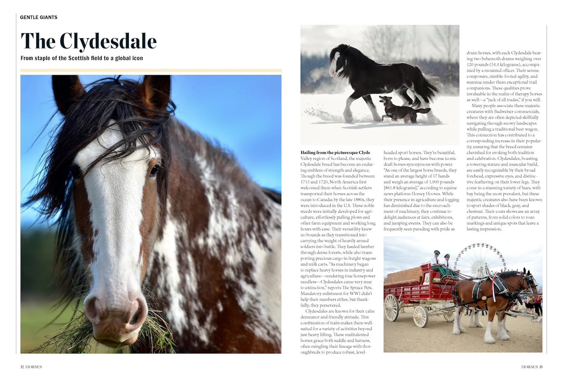 Horses - The Complete Guide: Expert Riding & Training Tips, Stable Care, Breeding Mastery, Racing, Betting, Breeds From Clydesdales To Arabians, Icons Like Secretariat & History's Noblest Steeds!