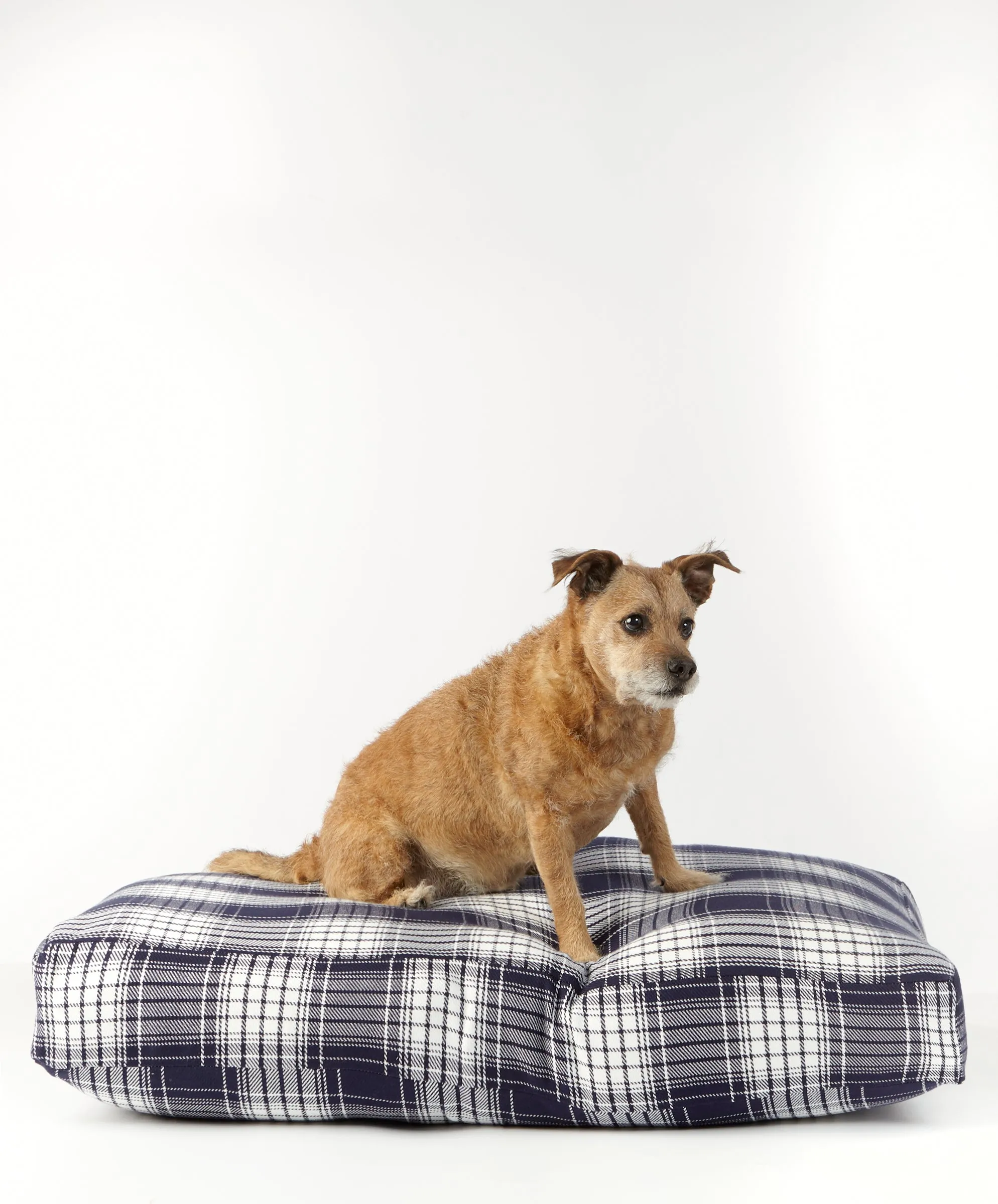 Project Vermont Medium Blanket Shirt Dog Bed Cover